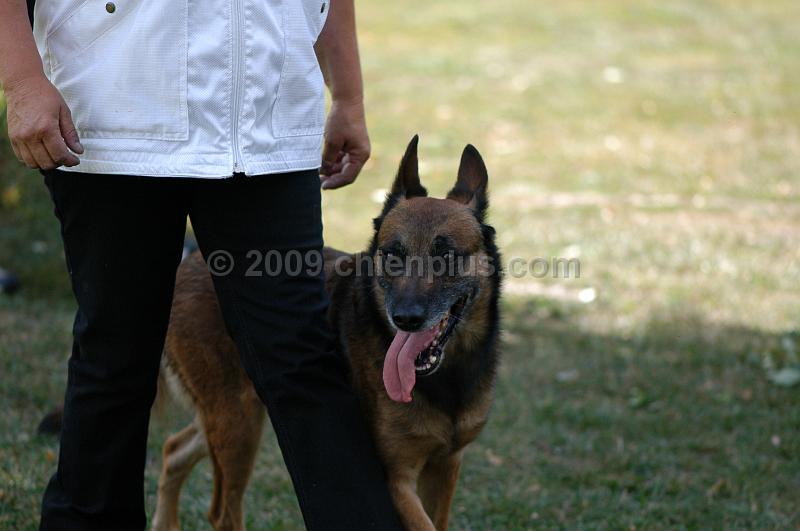 DSC_0153.JPG