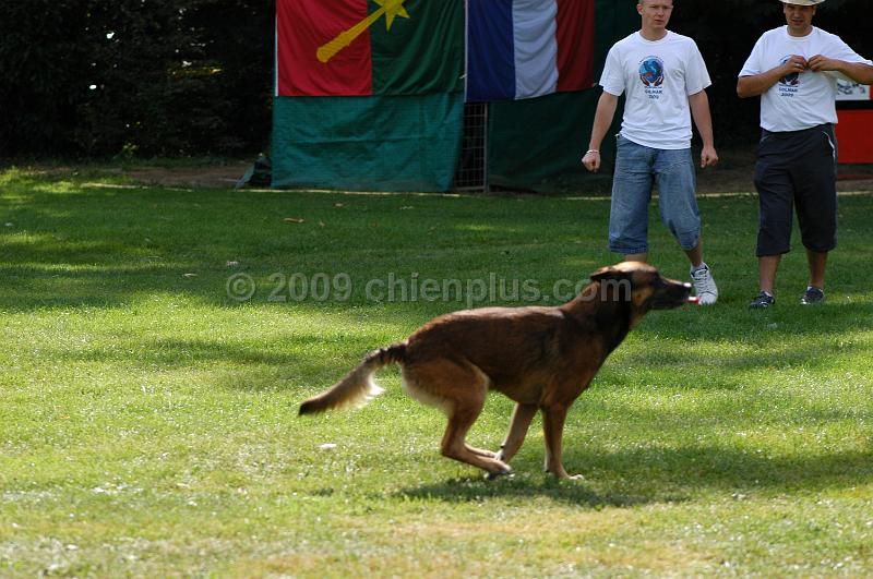 DSC_0157.JPG