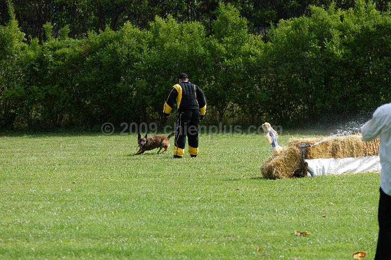 DSC_0166.JPG