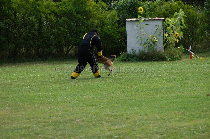 DSC_0171.JPG