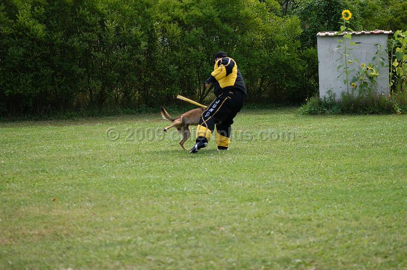 DSC_0172.JPG