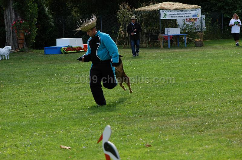 DSC_0175.JPG