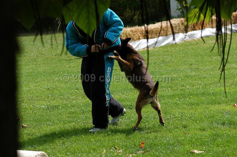 DSC_0178.JPG