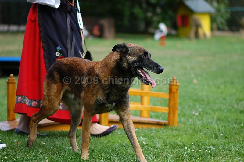 DSC_0179.JPG