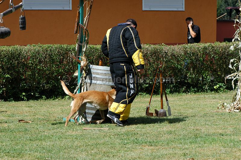 DSC_0206.JPG