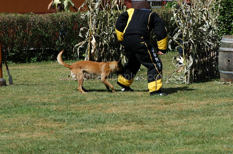 DSC_0211.JPG