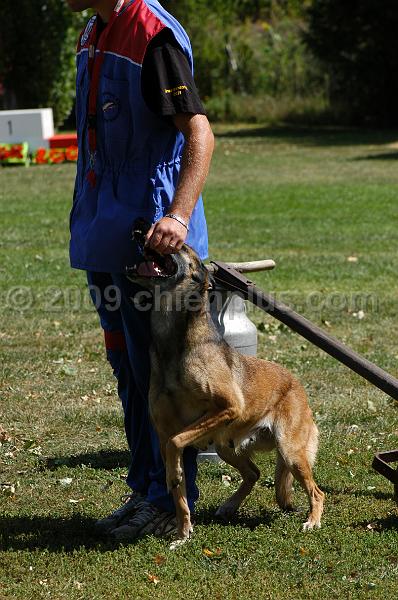 DSC_0217.JPG