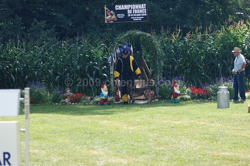 DSC_0229.JPG