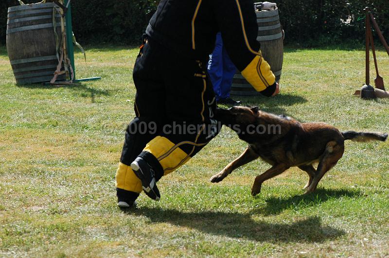 DSC_0236.JPG