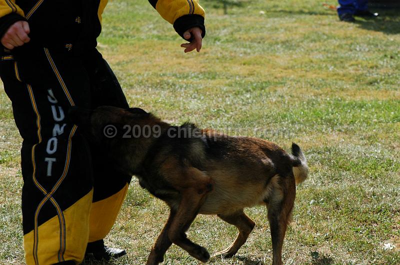 DSC_0239.JPG