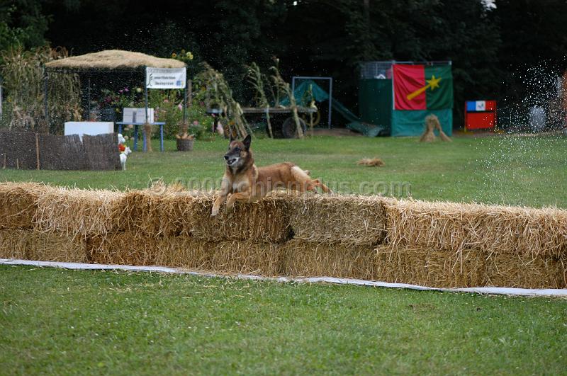 DSC_0269.JPG