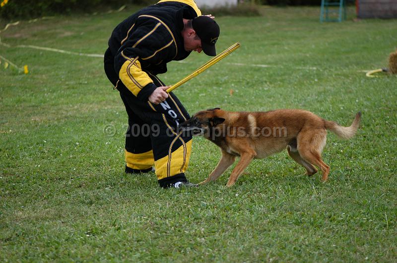 DSC_0279.JPG