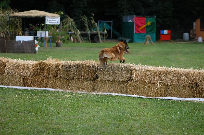 DSC_0281.JPG