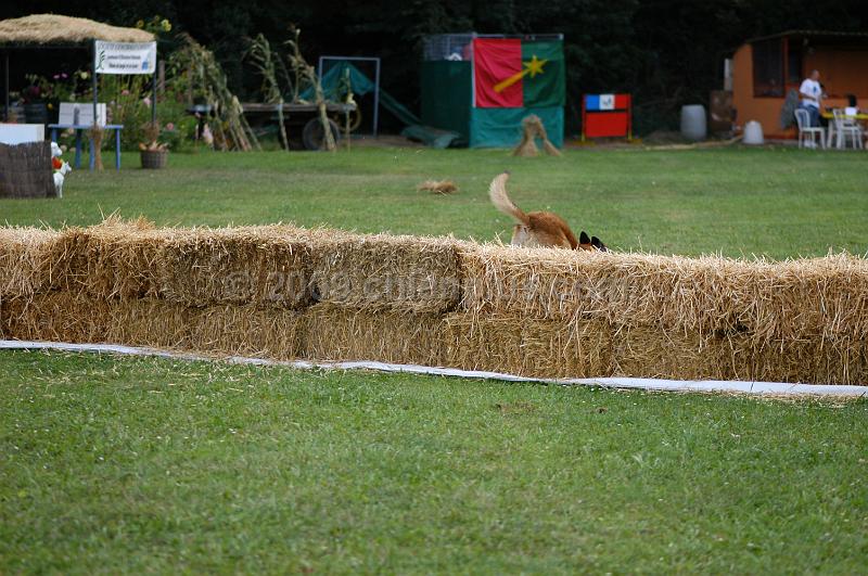 DSC_0282.JPG