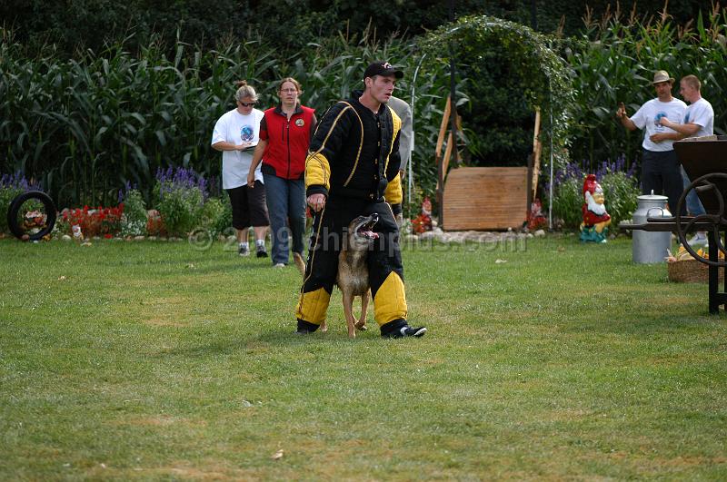 DSC_0290.JPG