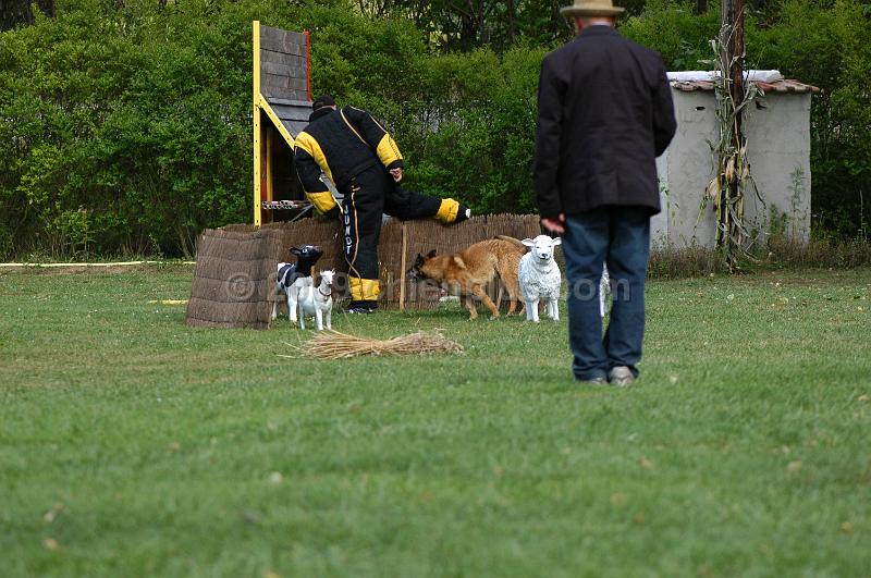 DSC_0297.JPG