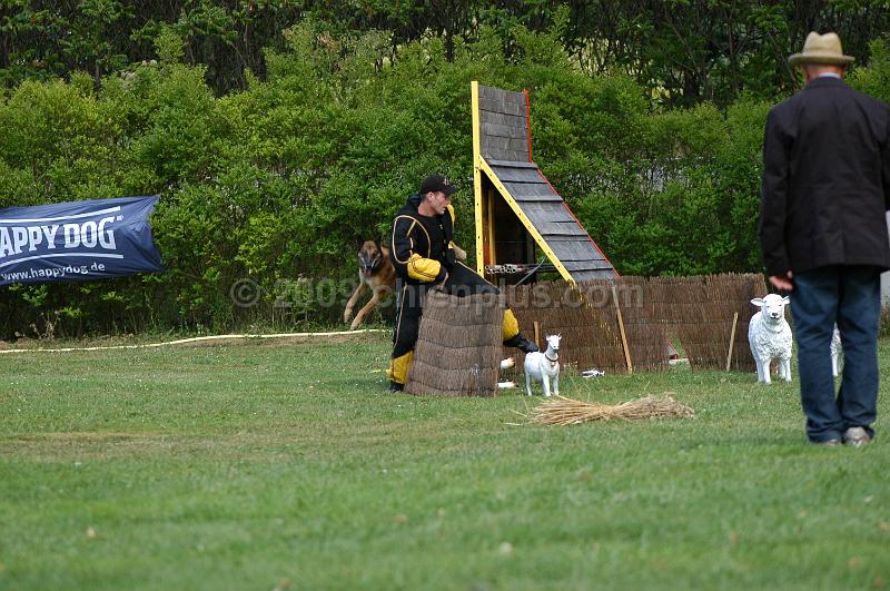 DSC_0298.JPG
