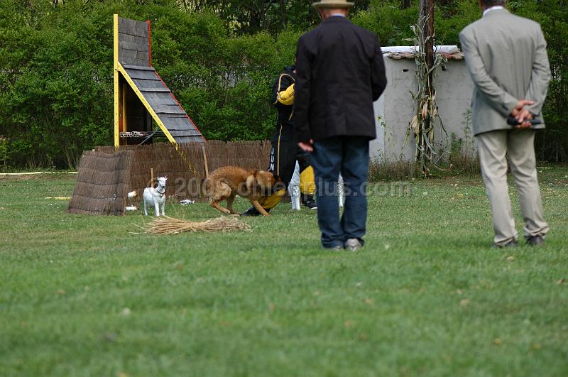 DSC_0299.JPG