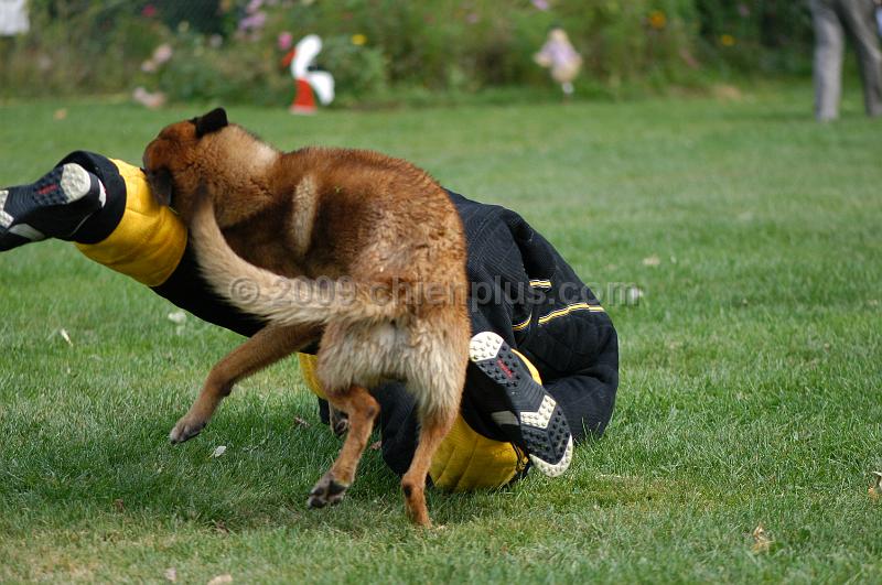 DSC_0307.JPG