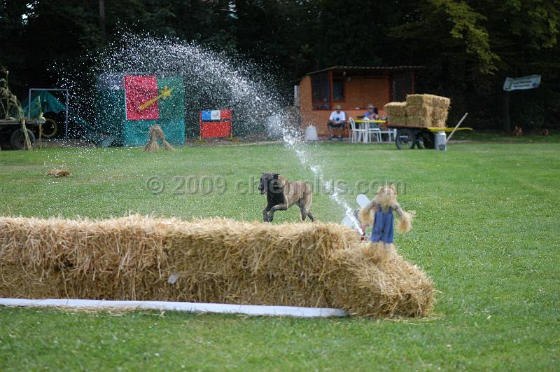 DSC_0328.JPG