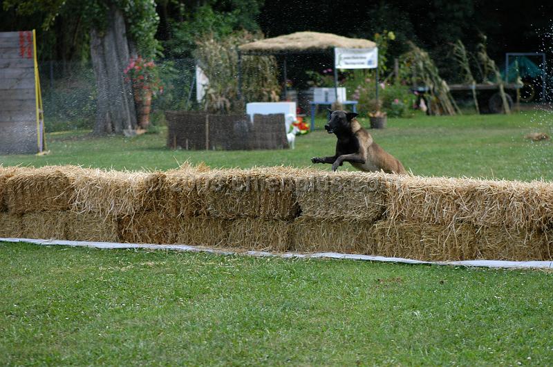 DSC_0330.JPG