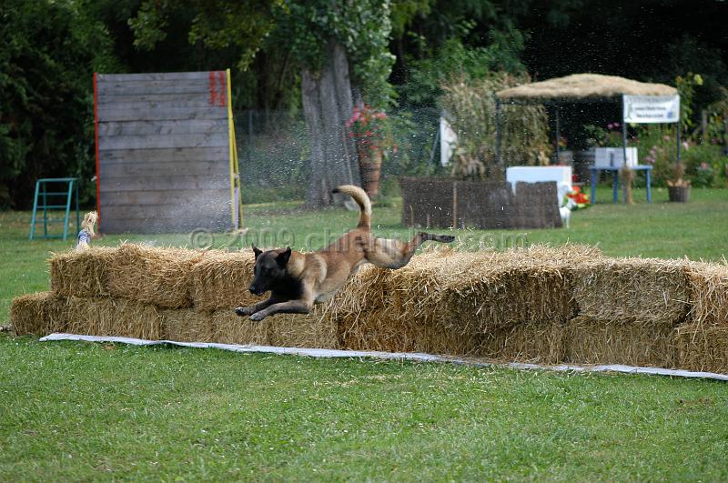 DSC_0331.JPG