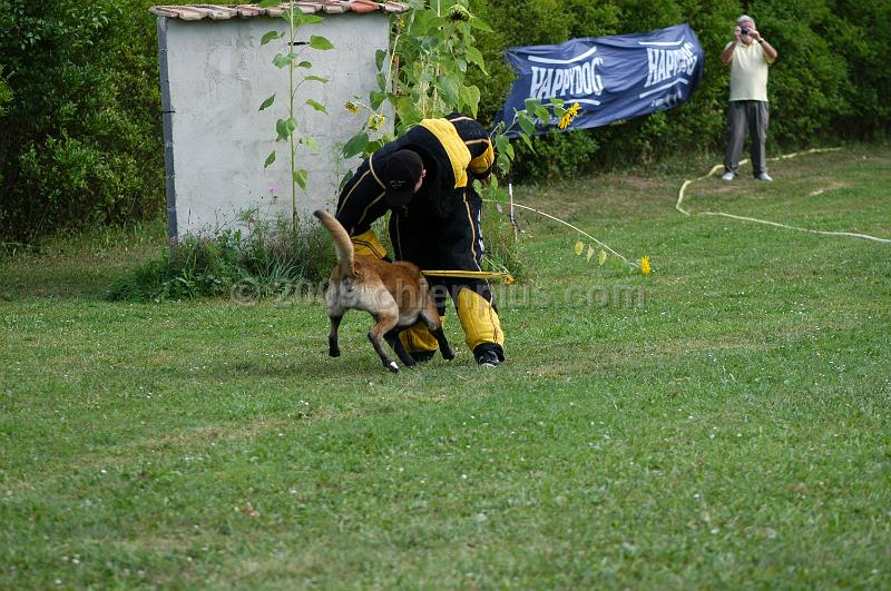 DSC_0336.JPG