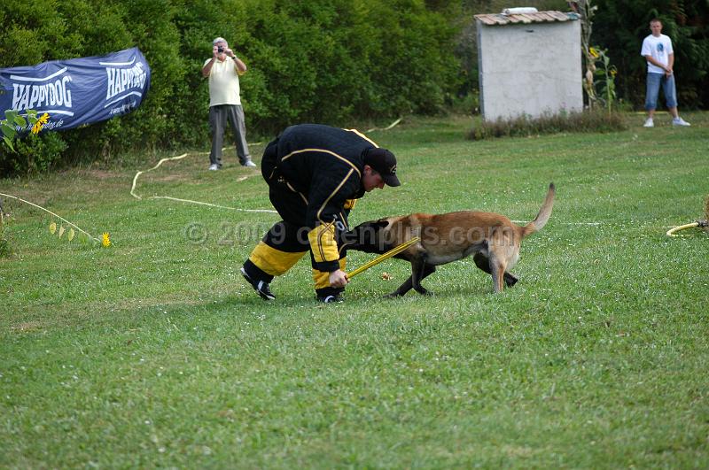 DSC_0340.JPG