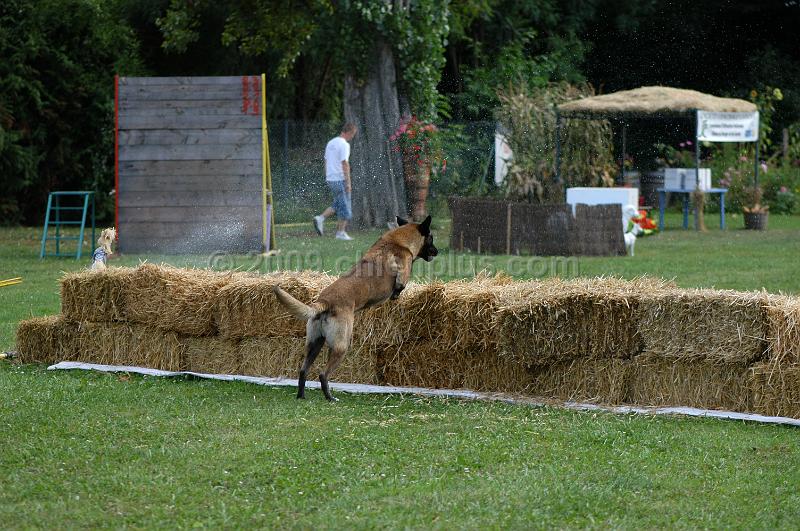 DSC_0342.JPG