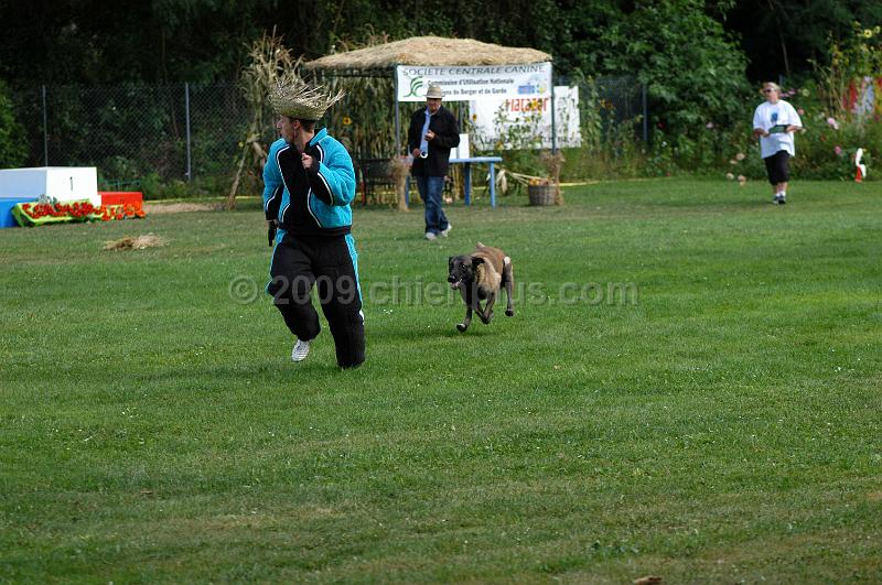 DSC_0344.JPG