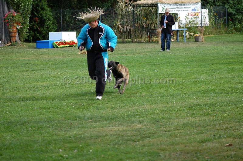 DSC_0345.JPG