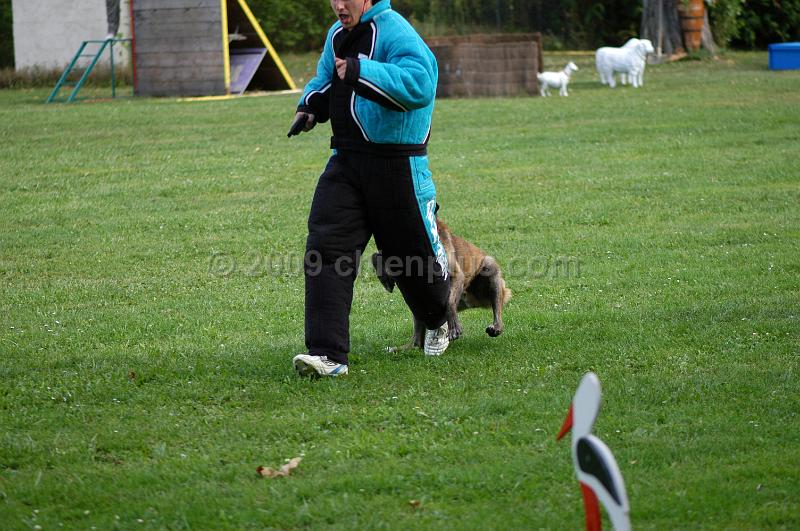 DSC_0348.JPG