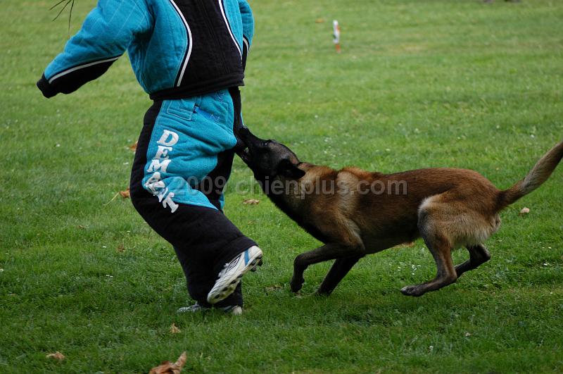 DSC_0351.JPG