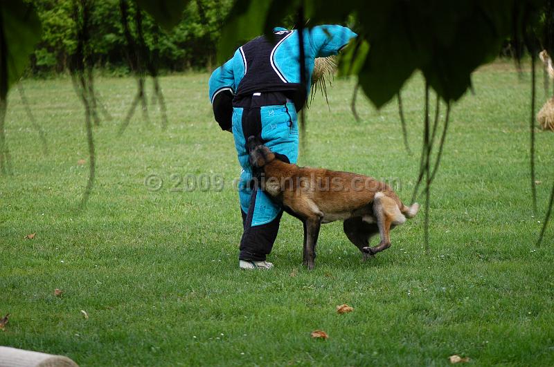 DSC_0353.JPG