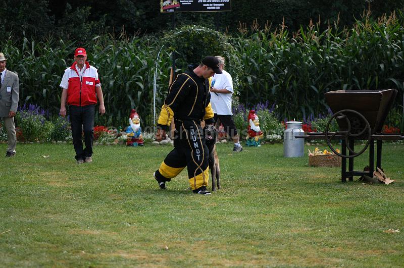 DSC_0358.JPG