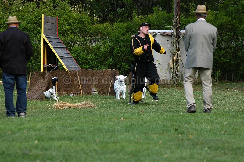 DSC_0368.JPG