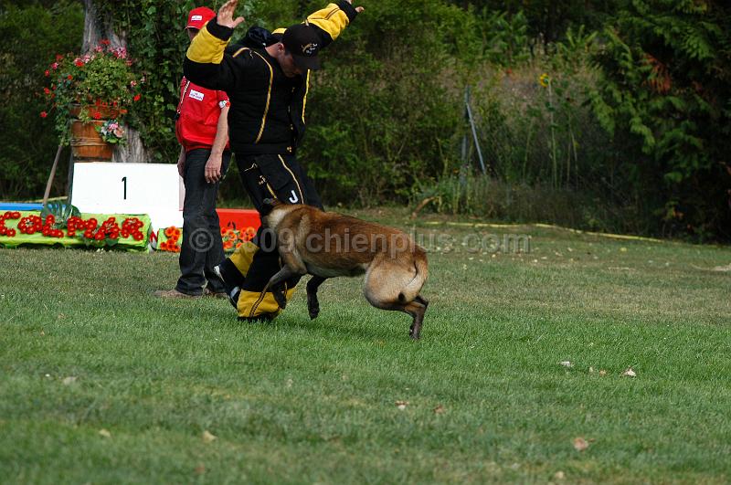 DSC_0370.JPG