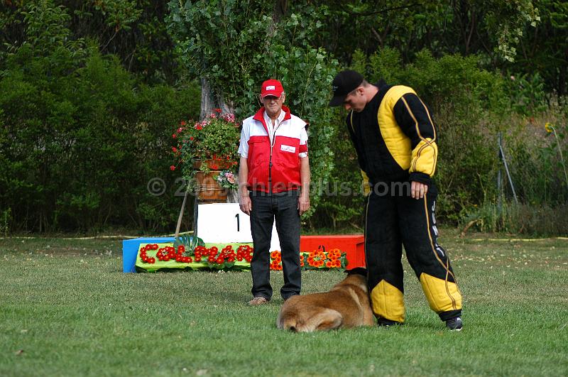 DSC_0372.JPG