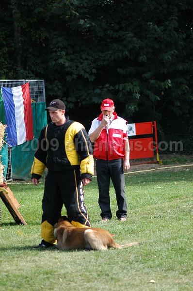 DSC_0379.JPG
