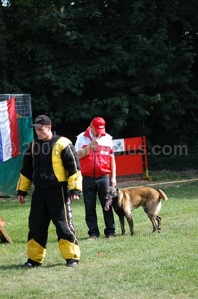 DSC_0380.JPG