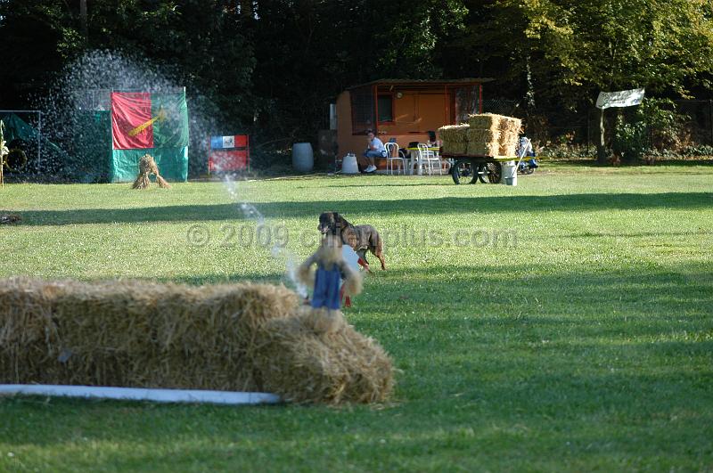DSC_0384.JPG