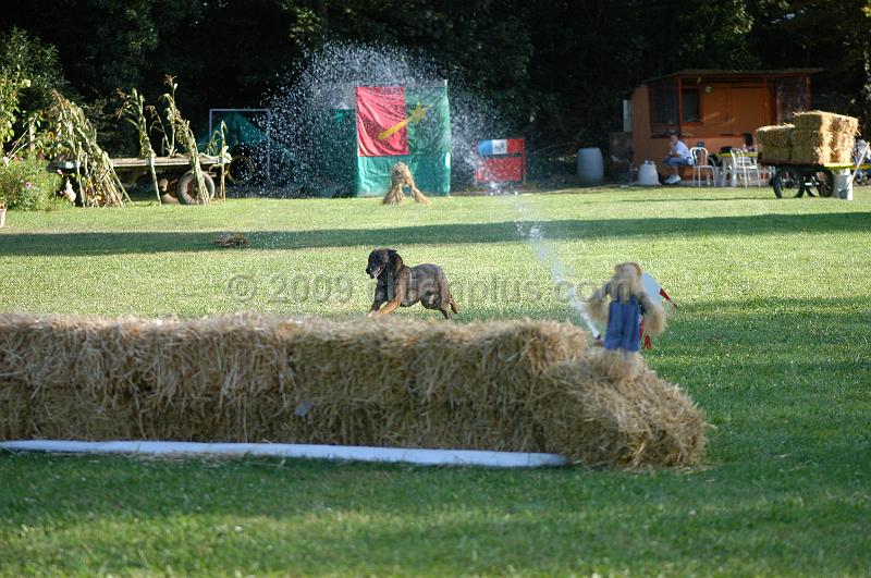 DSC_0385.JPG