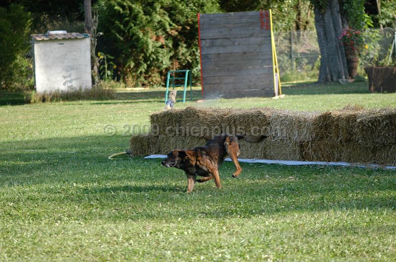 DSC_0388.JPG