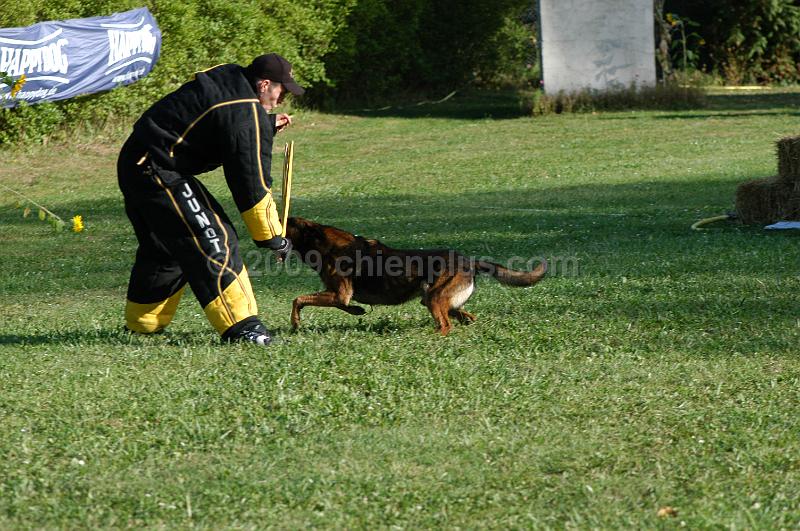 DSC_0389.JPG