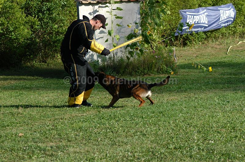 DSC_0391.JPG