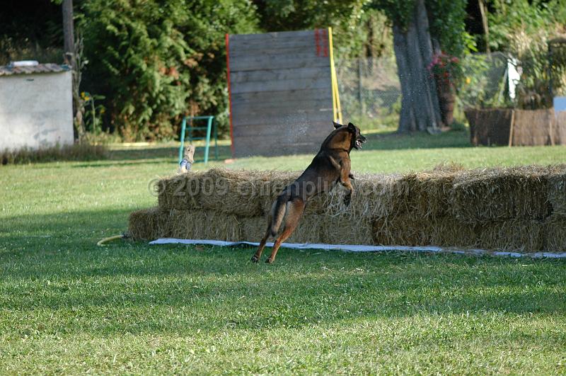 DSC_0396.JPG