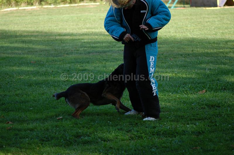 DSC_0406.JPG