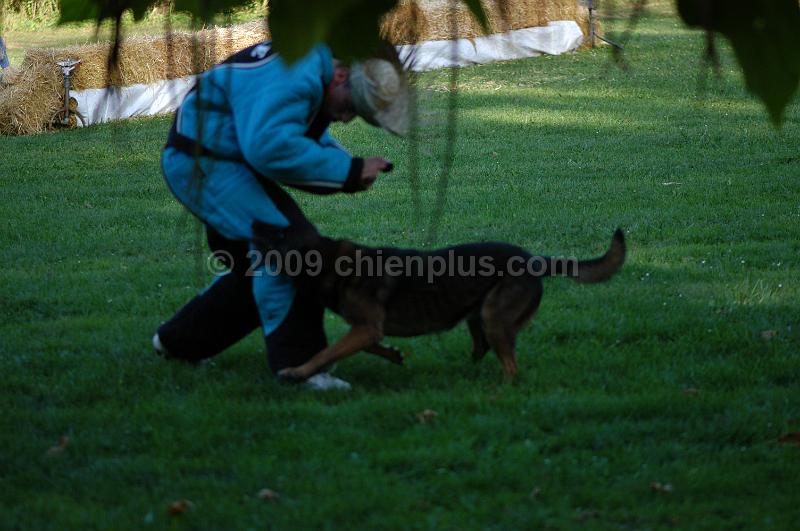 DSC_0409.JPG