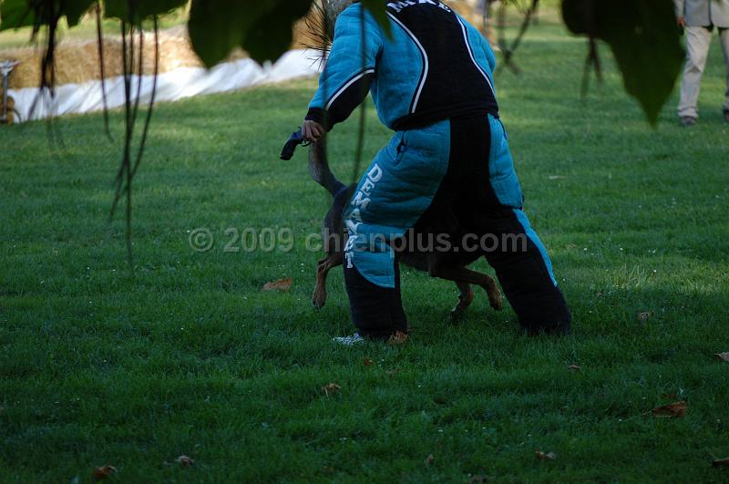 DSC_0410.JPG
