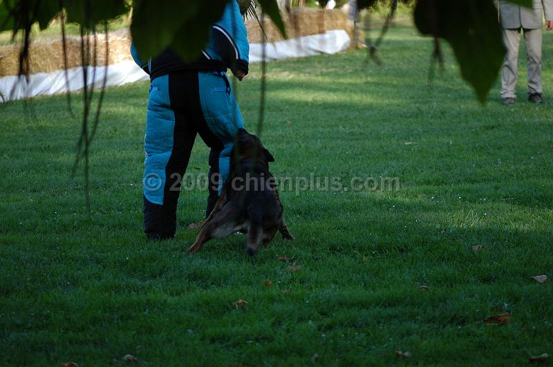 DSC_0411.JPG